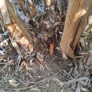 Marcação de terreno topografia da TOPO ADM